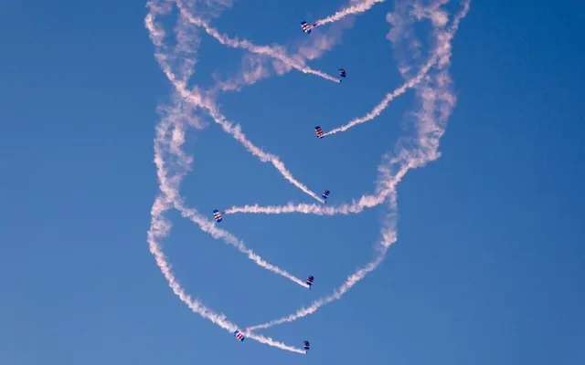 RAF Falcons