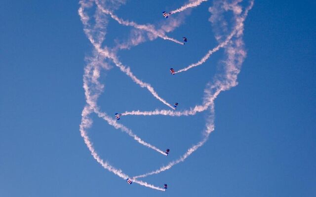 RAF Falcons