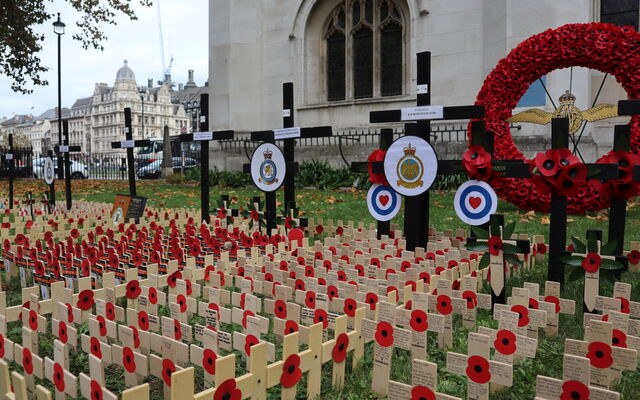 Field of crosses and wreathes