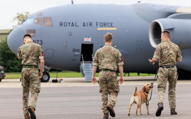 Serving personnel with dog and aircraft in the background