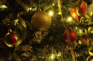 Christmas tree of light