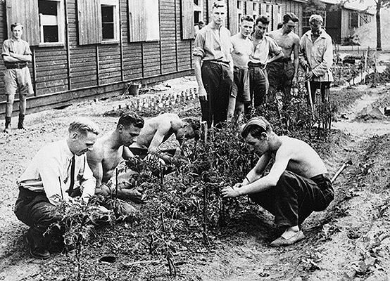 British prisoners of war tend to their garden at Stalag Luft III.