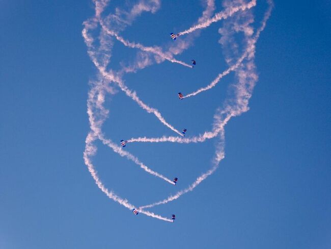 RAF Falcons