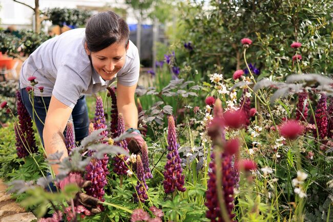 Planting at the RAF Benevolent Garden 