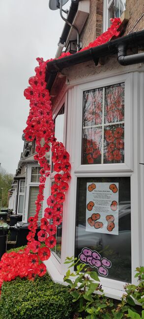 Poppy Display