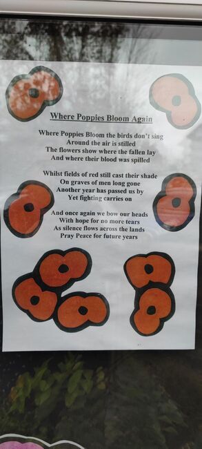 Poppy Poem