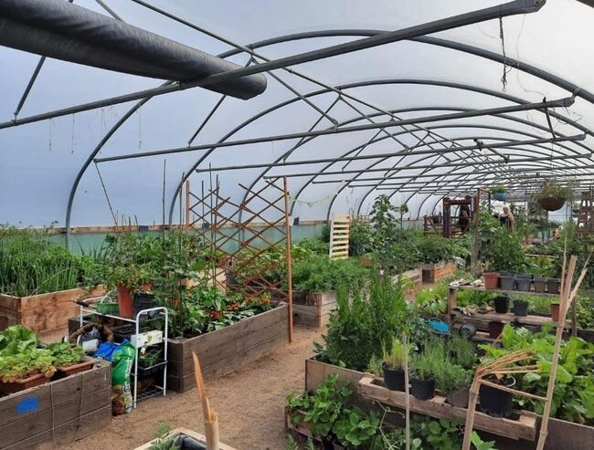 RAF Leeming Polytunnel