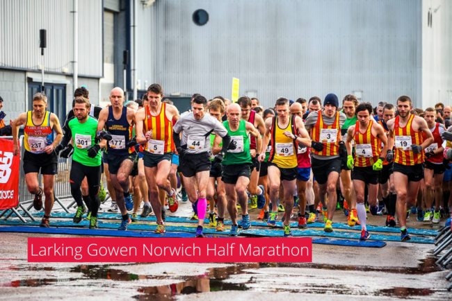 An image of runners from a Larking Gowen Norwich half marathon event