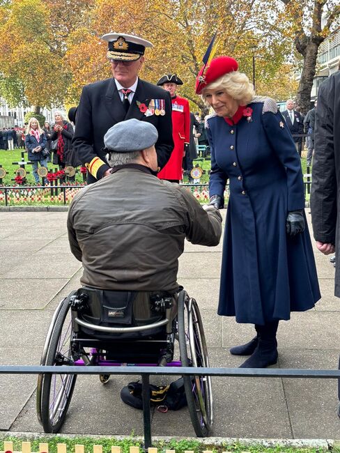 Queen Camilla shaking ambassador Bob's hand