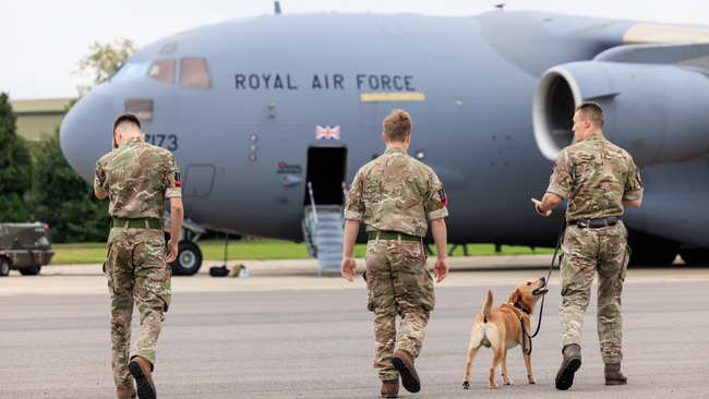 Serving personnel with dog and aircraft in the background
