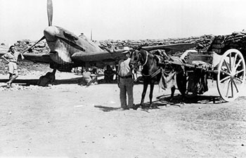 Horse and cart during the Siege of Malta
